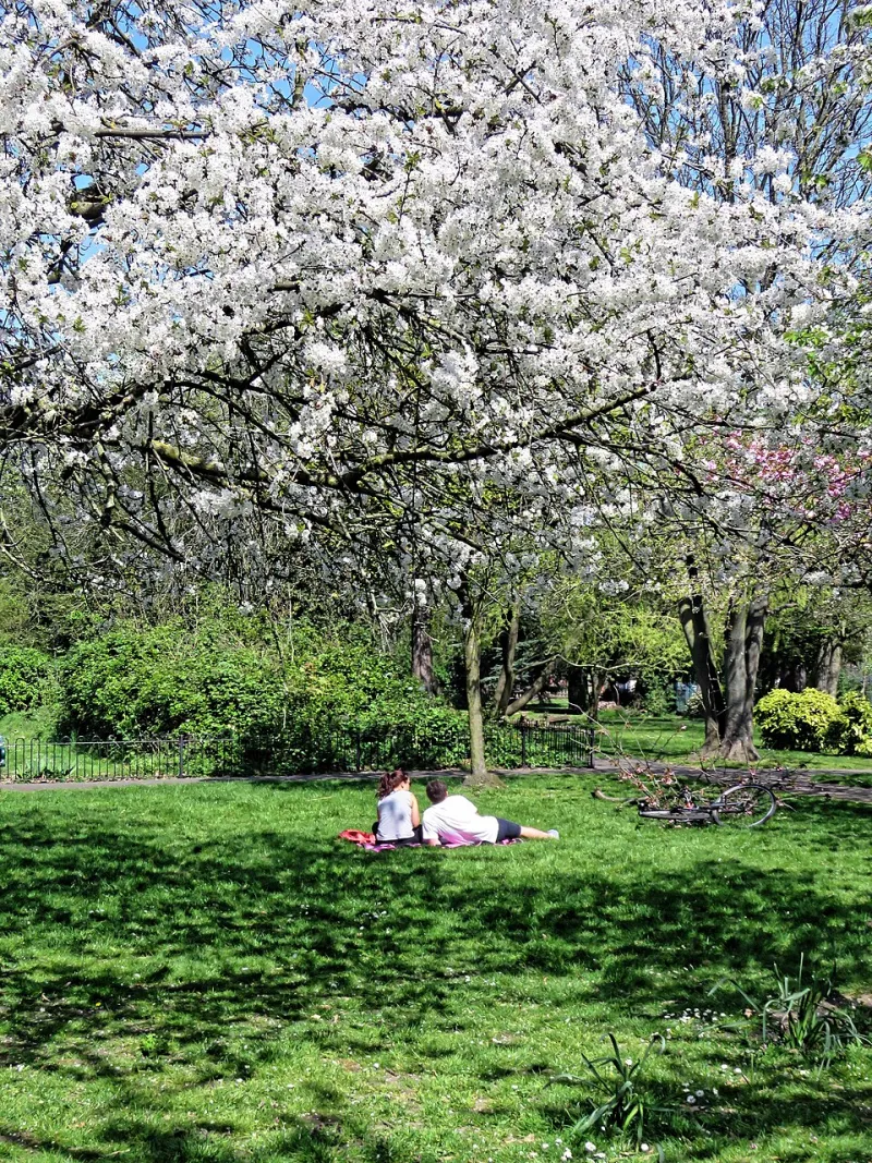 Opting Out: The Quiet Revolution of People Who Are Done Performing Friendship